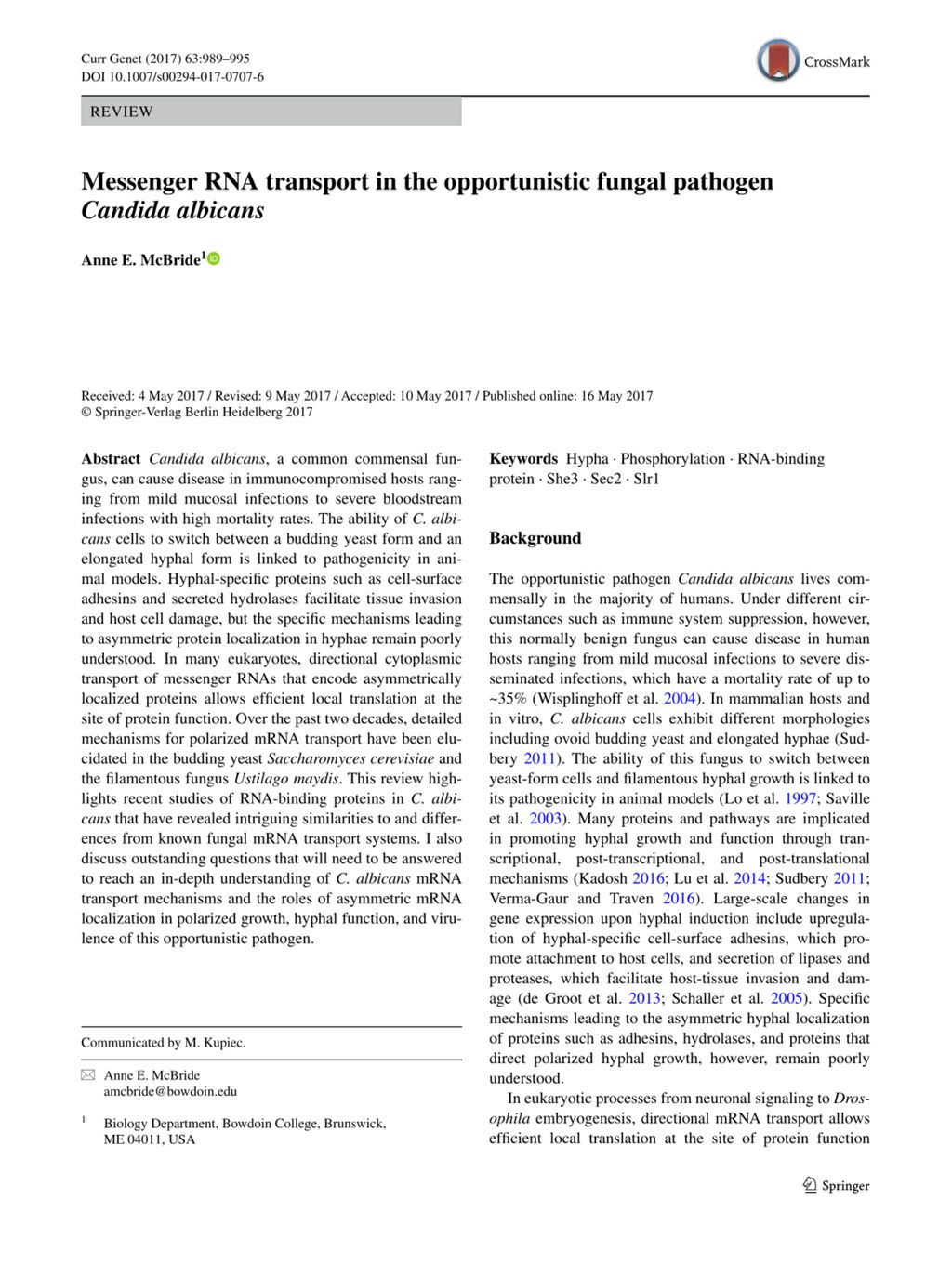 Miniature of Messenger RNA transport in the opportunistic fungal pathogen Candida albicans