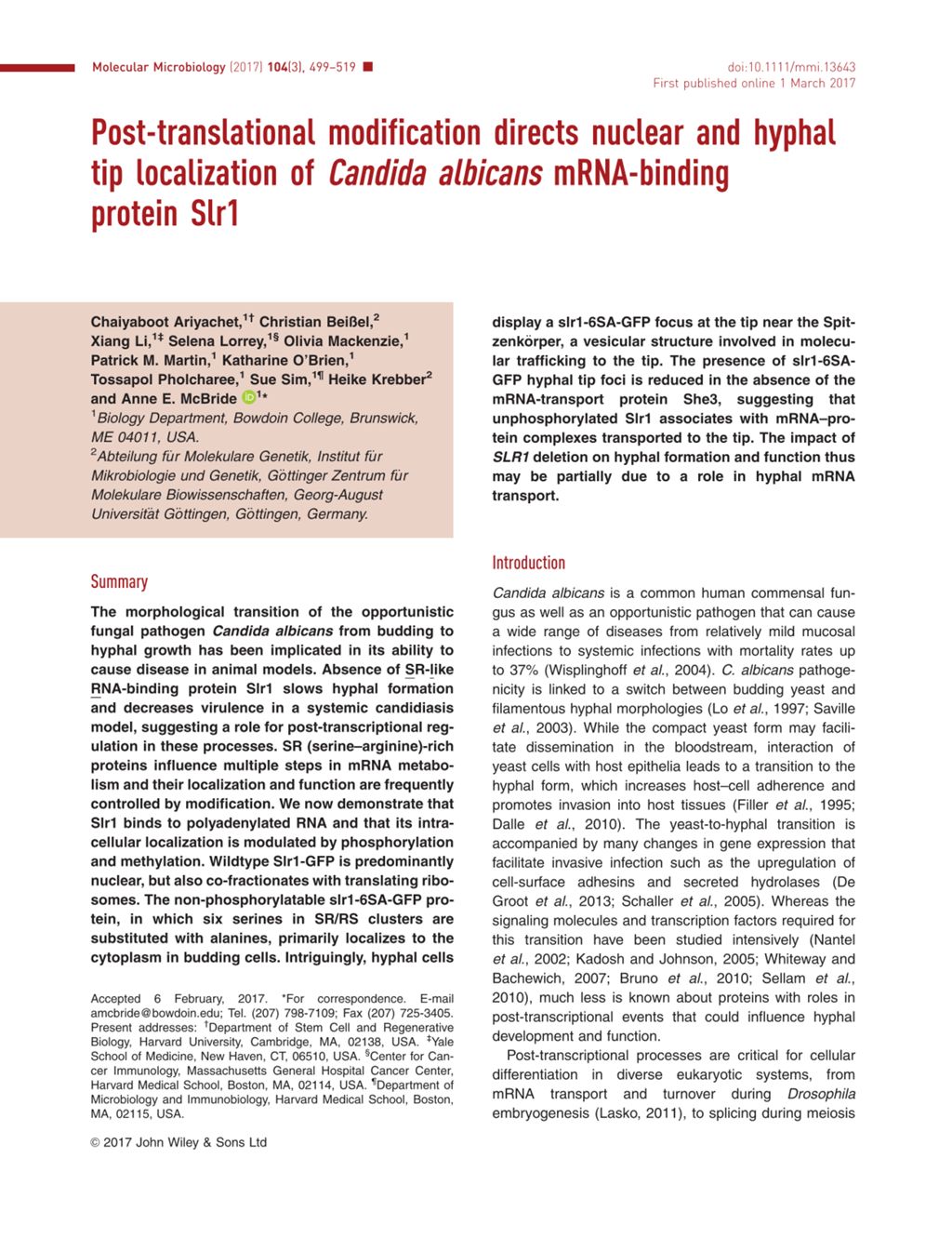 Miniature of Post-translational modification directs nuclear and hyphal tip localization of Candida albicans mRNA-binding protein Slr1