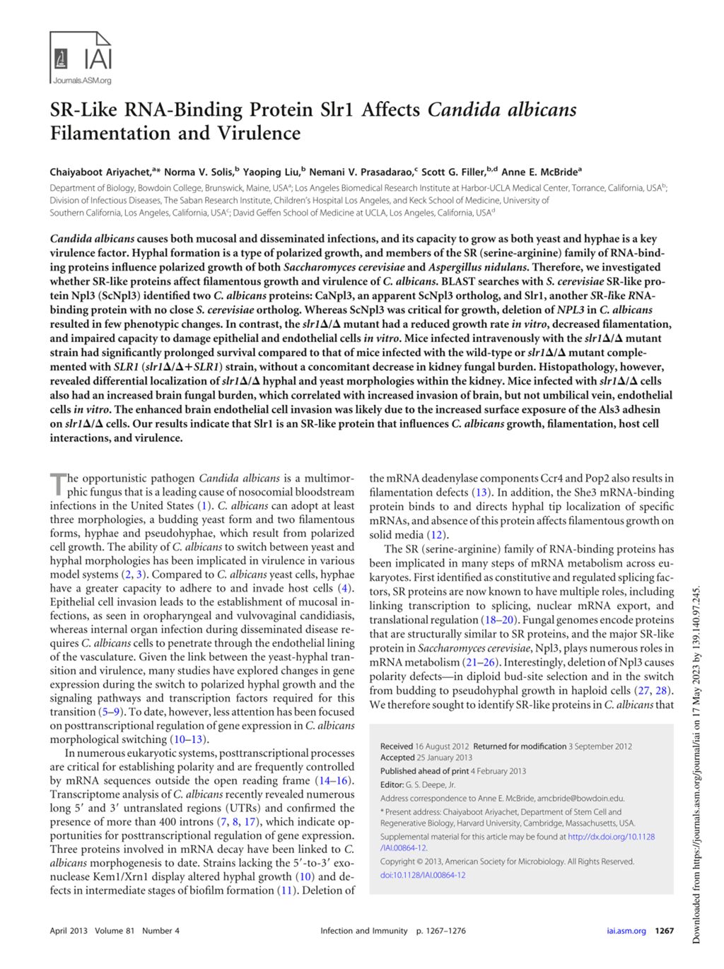 Miniature of SR-Like RNA-binding protein Slr1 affects Candida albicans filamentation and virulence