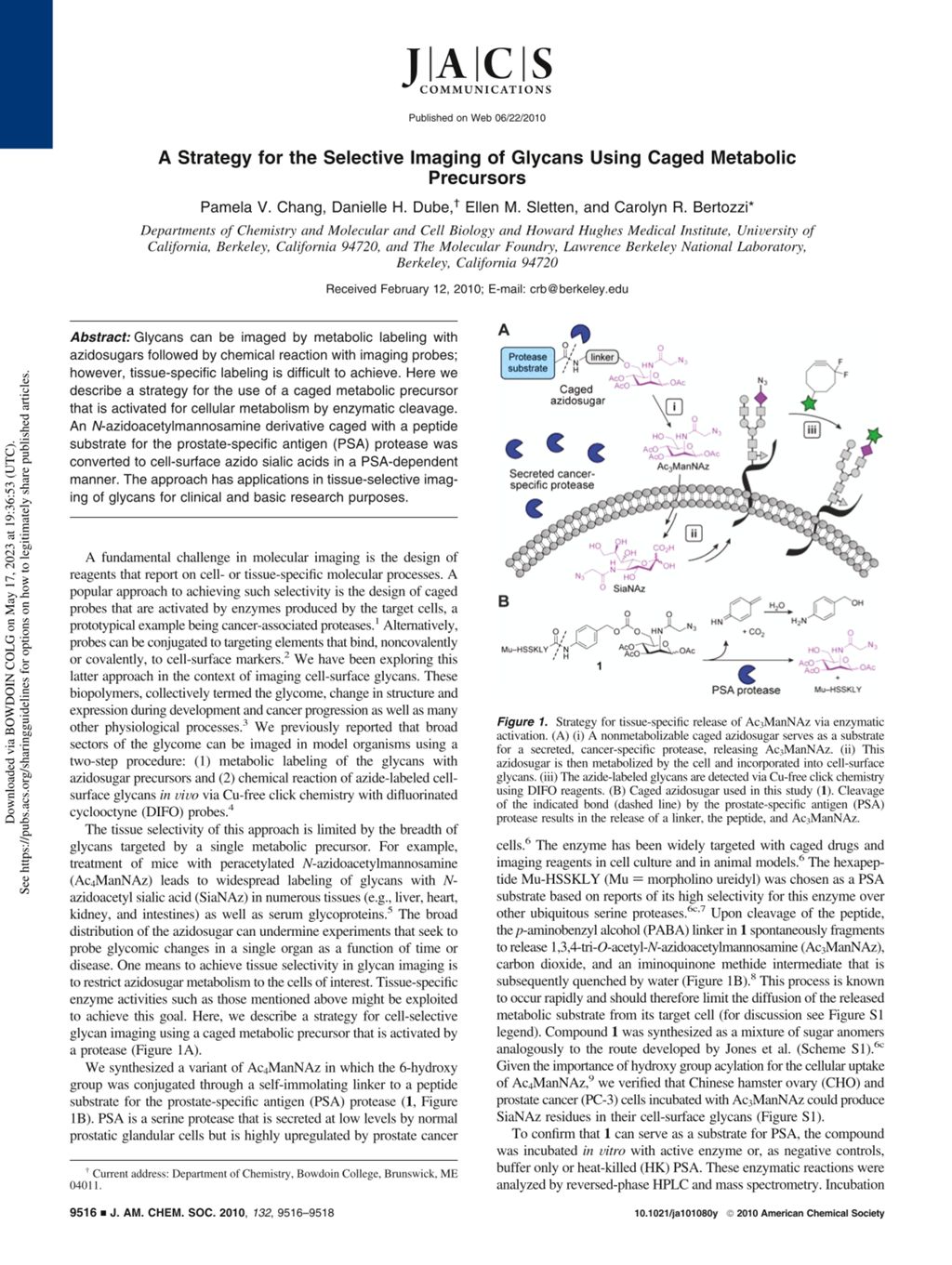 Miniature of A strategy for the selective imaging of glycans using caged metabolic precursors