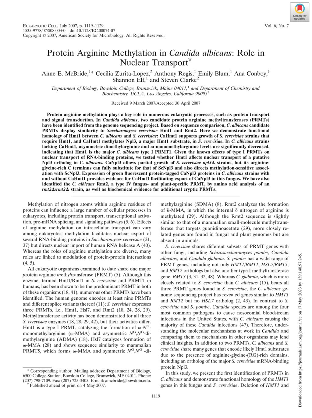 Miniature of Protein arginine methylation in Candida albicans: Role in nuclear transport