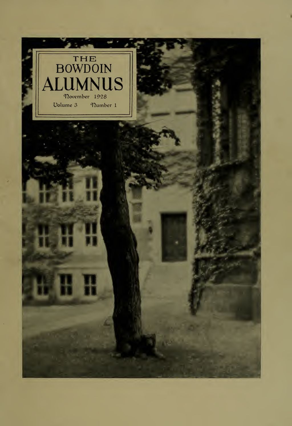 Miniature of Bowdoin Alumnus Volume 3 (1928-1929)