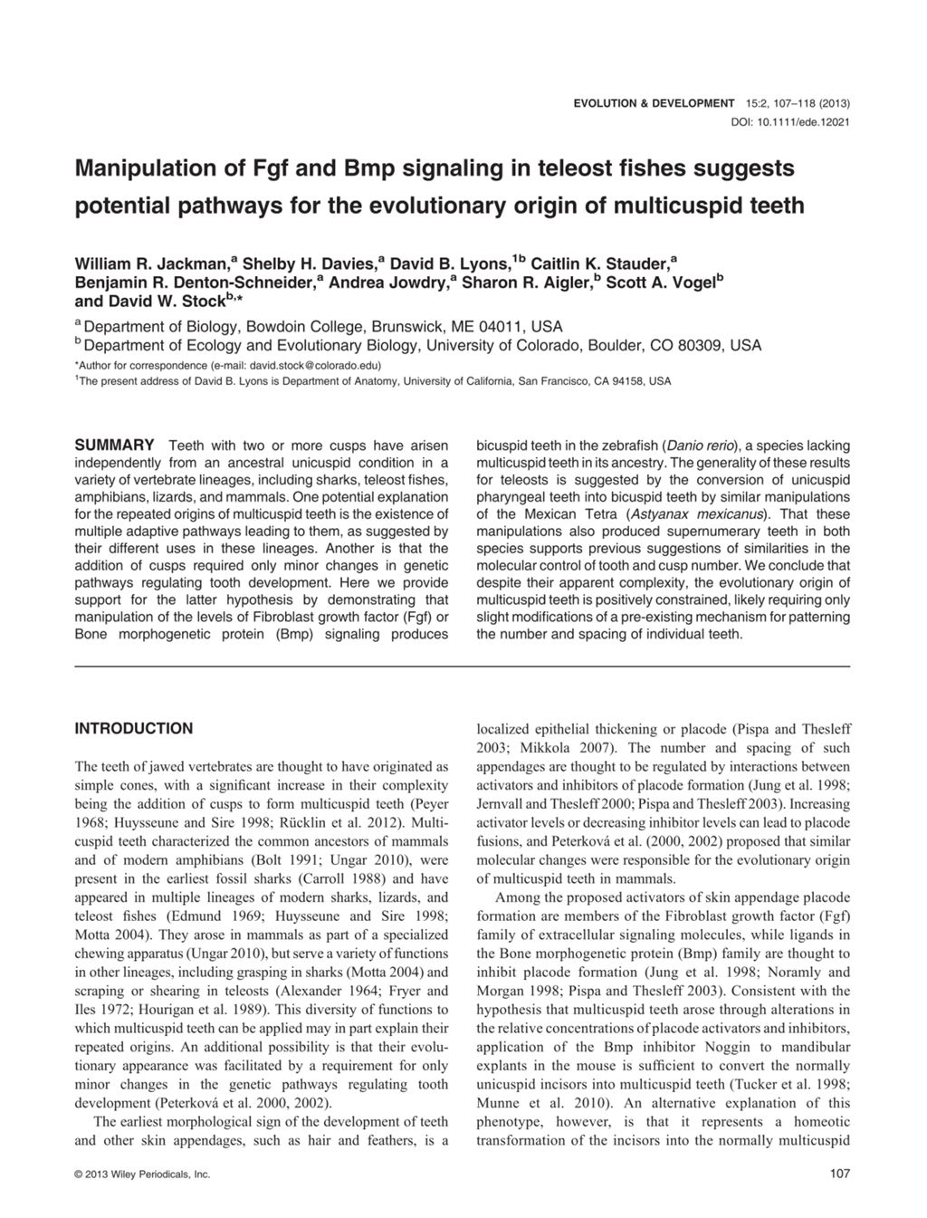 Miniature of Manipulation of Fgf and Bmp signaling in teleost fishes suggests potential pathways for the evolutionary origin of multicuspid teeth