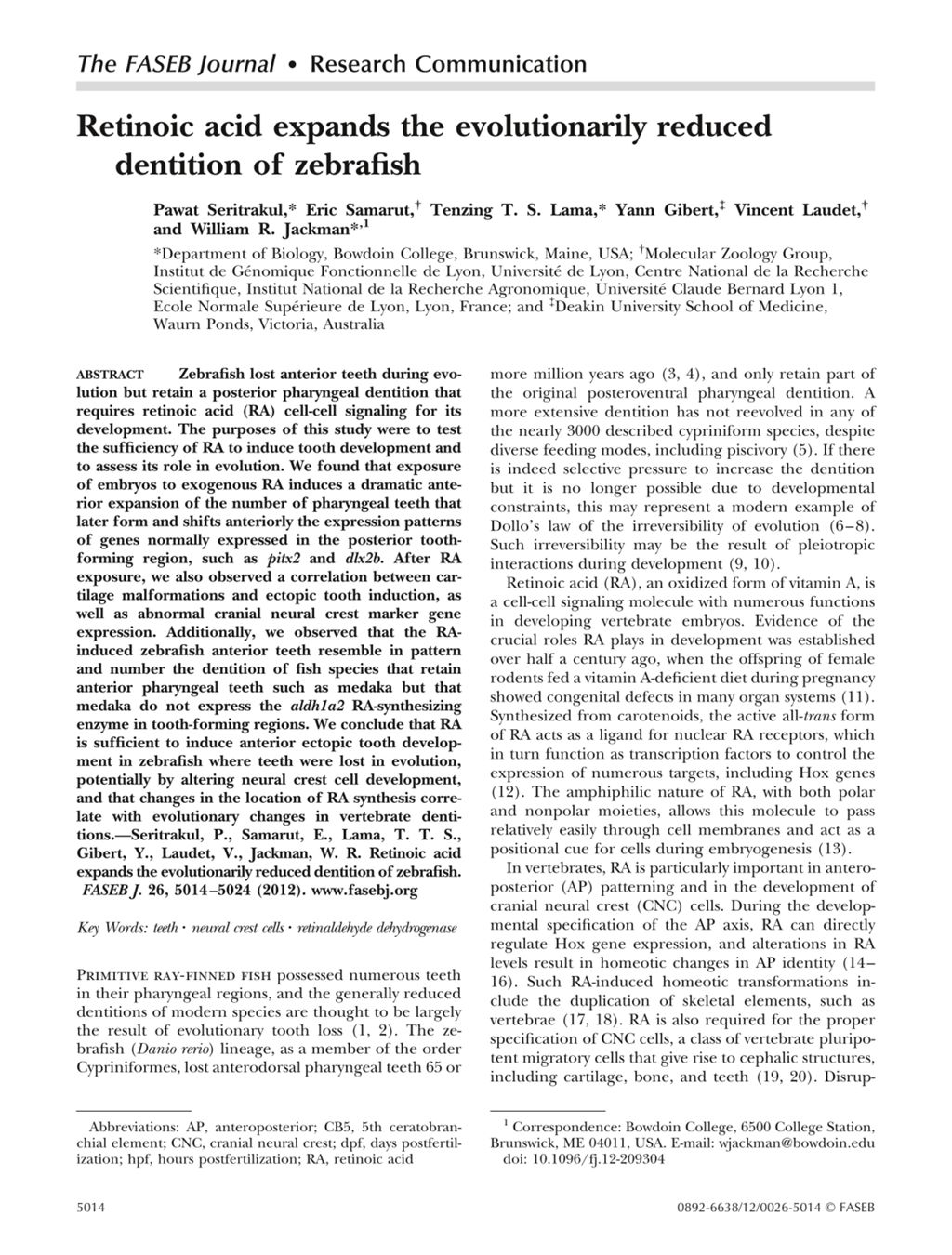 Miniature of Retinoic acid expands the evolutionarily reduced dentition of zebrafish