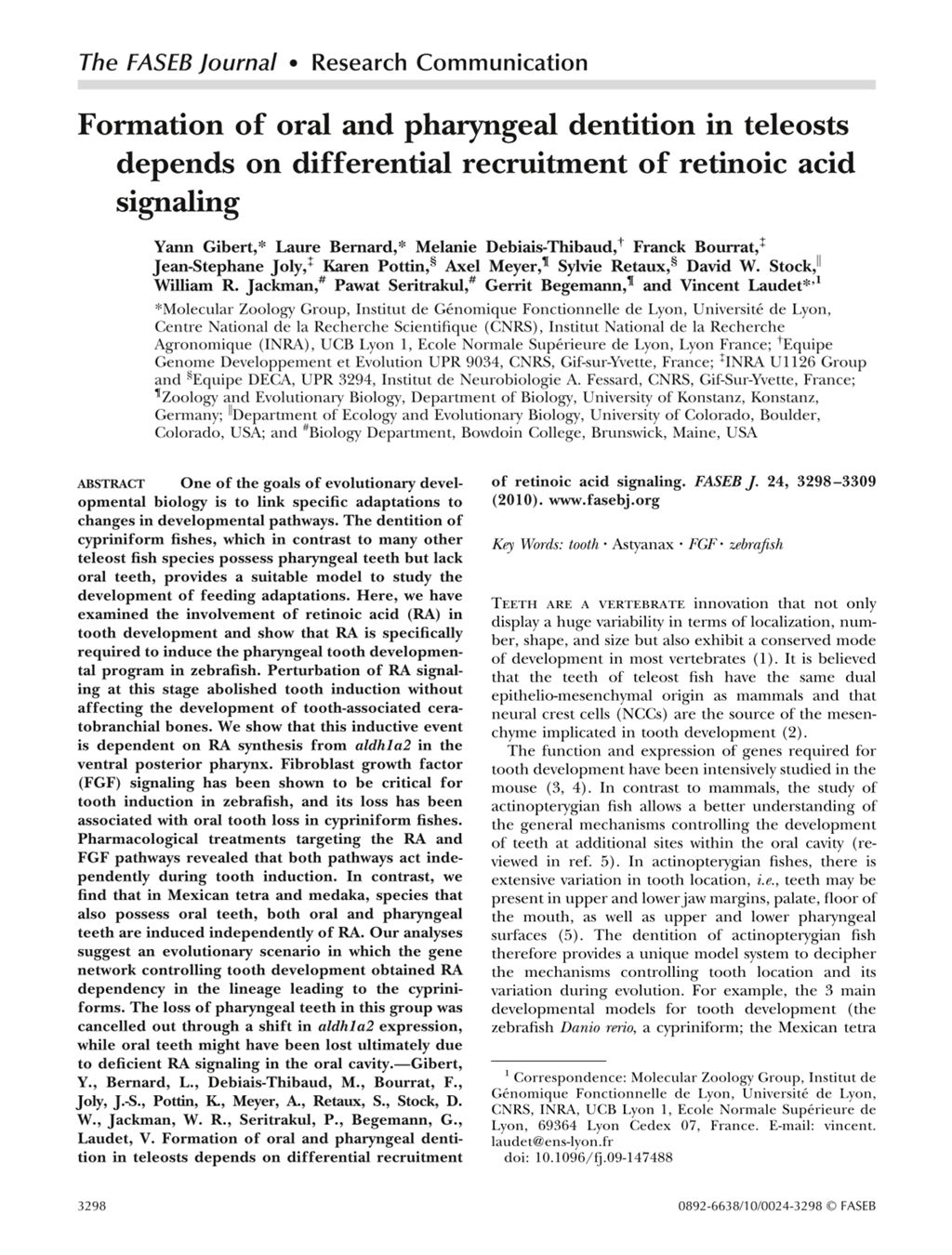 Miniature of Formation of oral and pharyngeal dentition in teleosts depends on differential recruitment of retinoic acid signaling