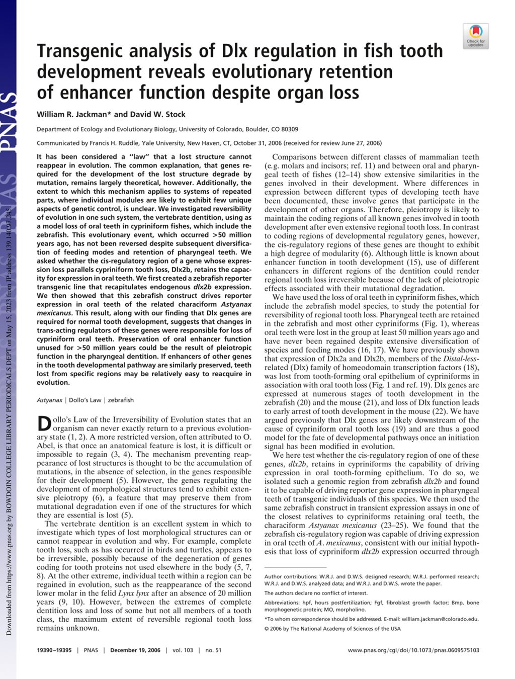 Miniature of Transgenic analysis of Dlx regulation in fish tooth development reveals evolutionary retention of enhancer function despite organ loss