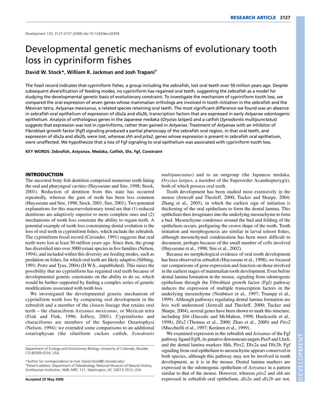 Miniature of Developmental genetic mechanisms of evolutionary tooth loss in cypriniform fishes