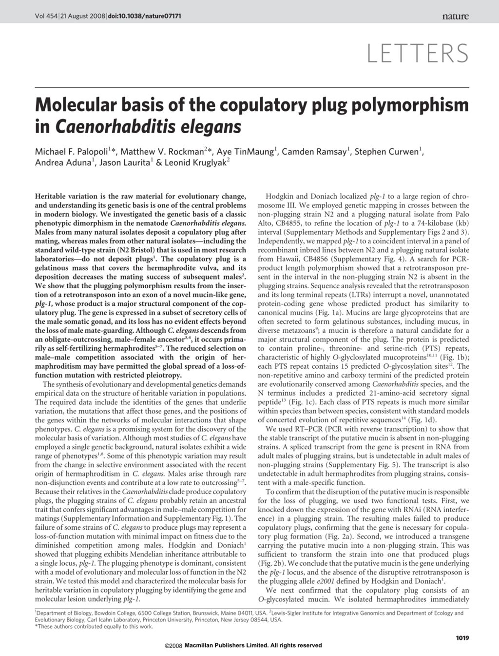 Miniature of Molecular basis of the copulatory plug polymorphism in Caenorhabditis elegans