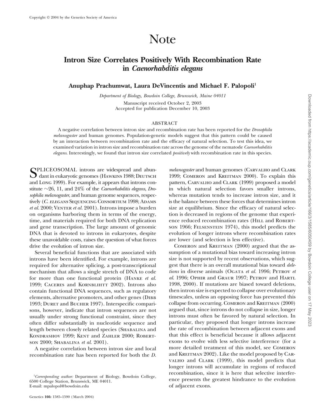 Miniature of Intron Size Correlates Positively with Recombination Rate in Caenorhabditis elegans