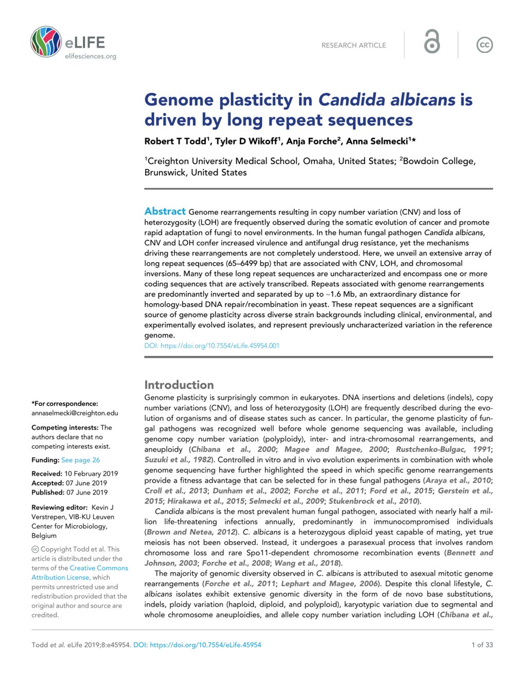 Miniature of Genome plasticity in candida albicans is driven by long repeat sequences