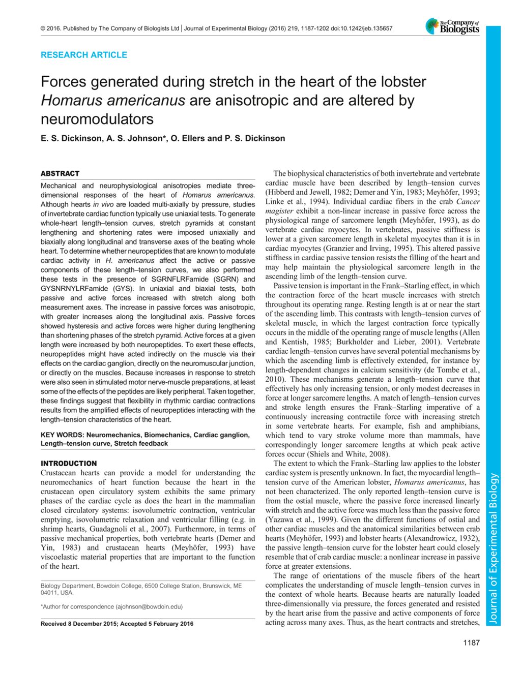 Miniature of Forces generated during stretch in the heart of the lobster Homarus americanus are anisotropic and are altered by neuromodulators