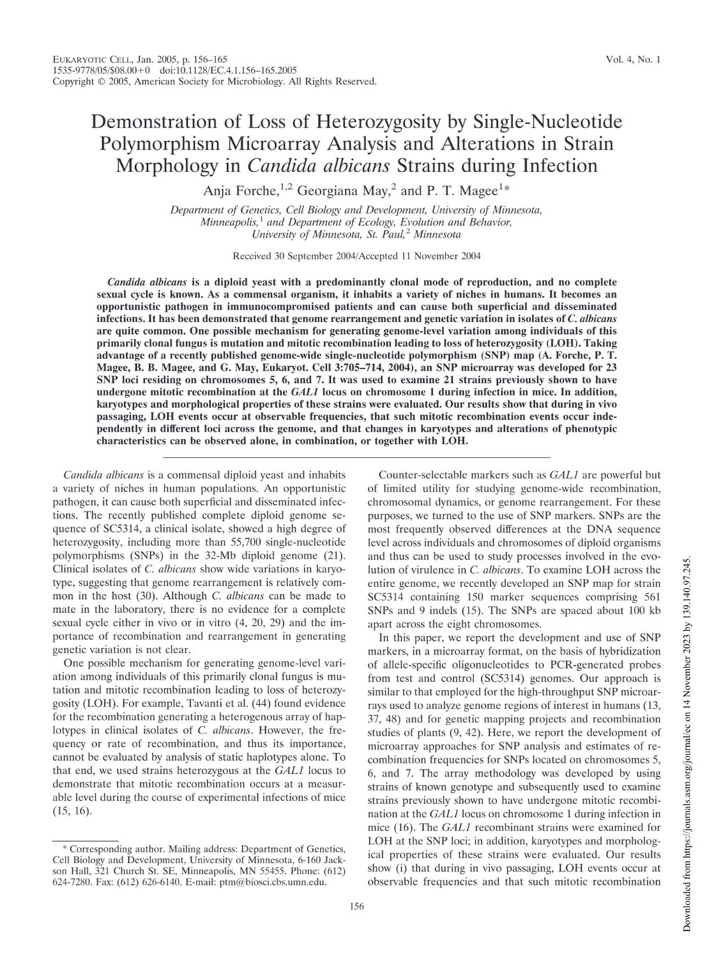 Miniature of Demonstration of loss of heterozygosity by single-nucleotide polymorphism microarray analysis and alterations in strain morphology in Candida albicans strains during infection