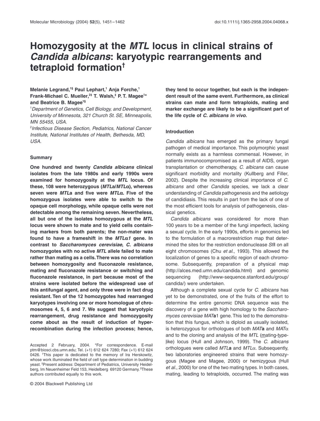 Miniature of Homozygosity at the MTL locus in clinical strains of Candida albicans: Karyotypic rearrangments and tetraploid formation