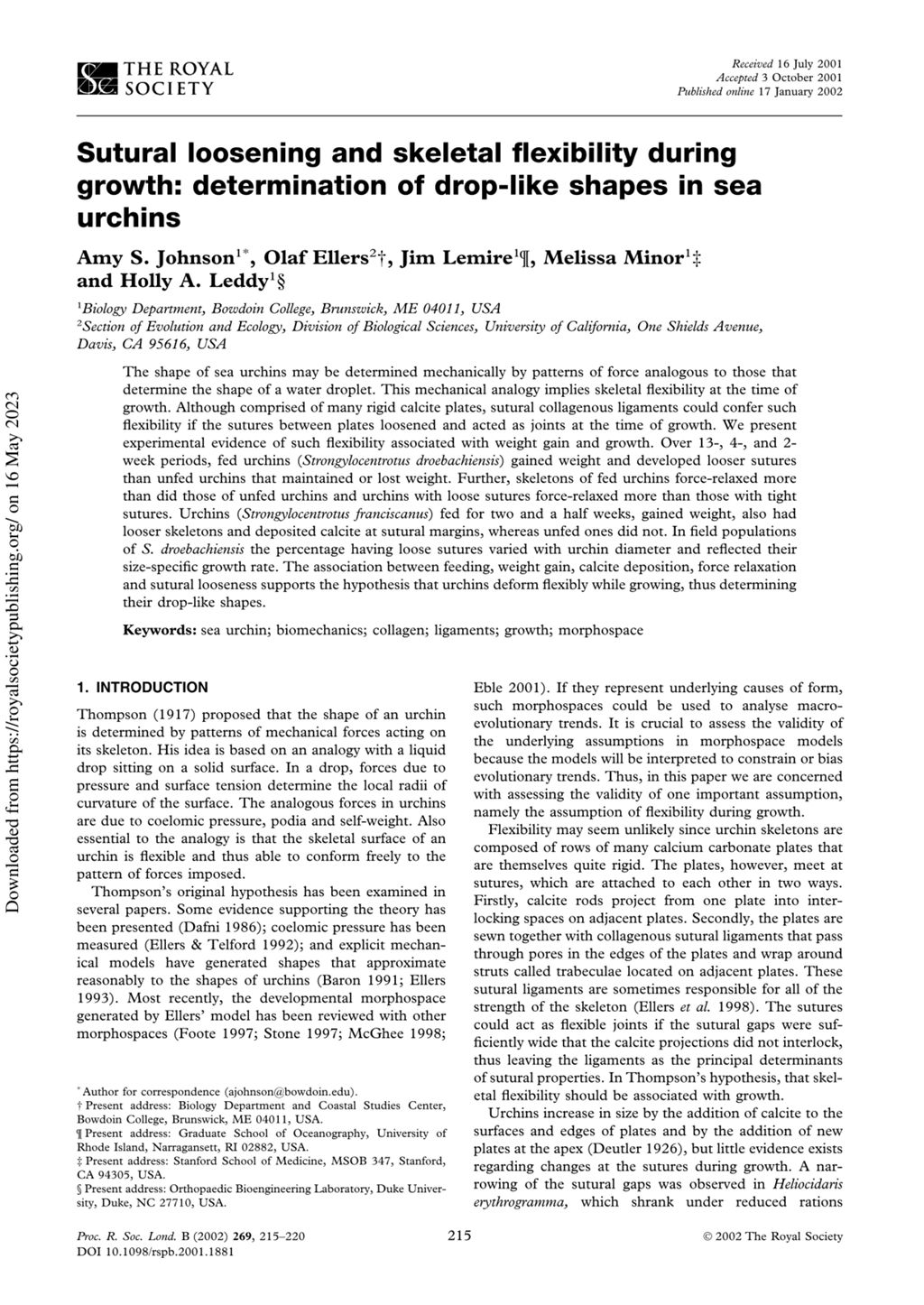 Miniature of Sutural loosening and skeletal flexibility during growth: Determination of drop-like shapes in sea urchins