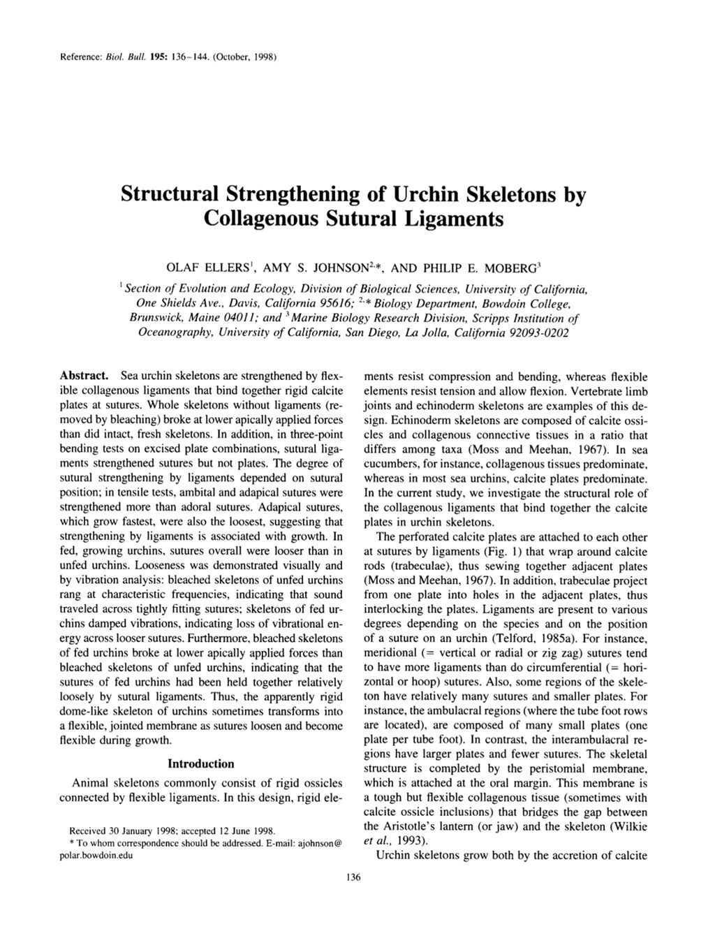 Miniature of Structural strengthening of urchin skeletons by collagenous sutural ligaments