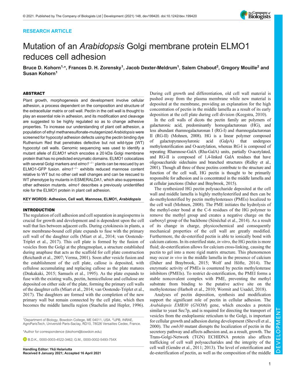 Miniature of Mutation of an Arabidopsis Golgi membrane protein ELMO1 reduces cell adhesion