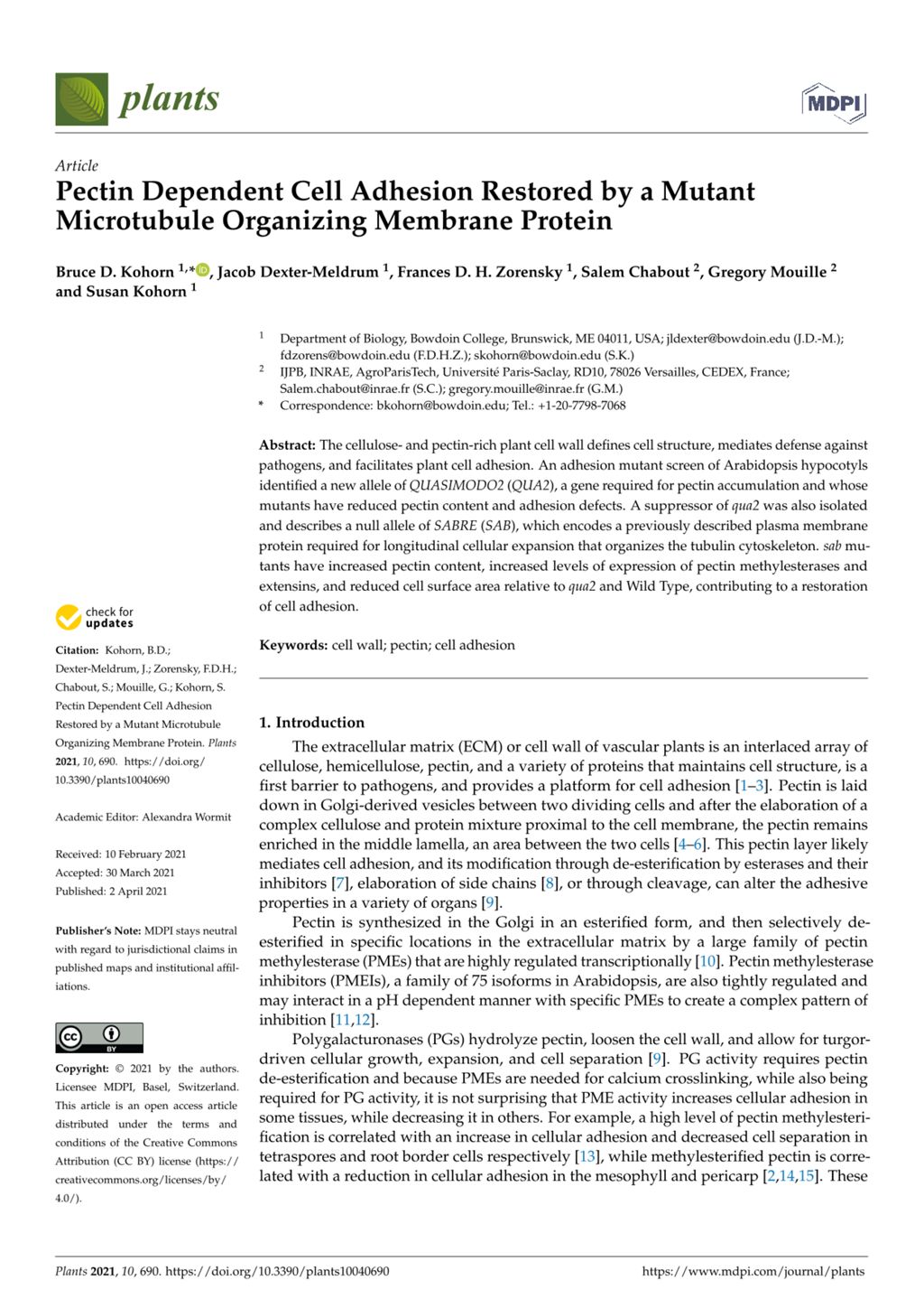 Miniature of Pectin dependent cell adhesion restored by a mutant microtubule organizing membrane protein