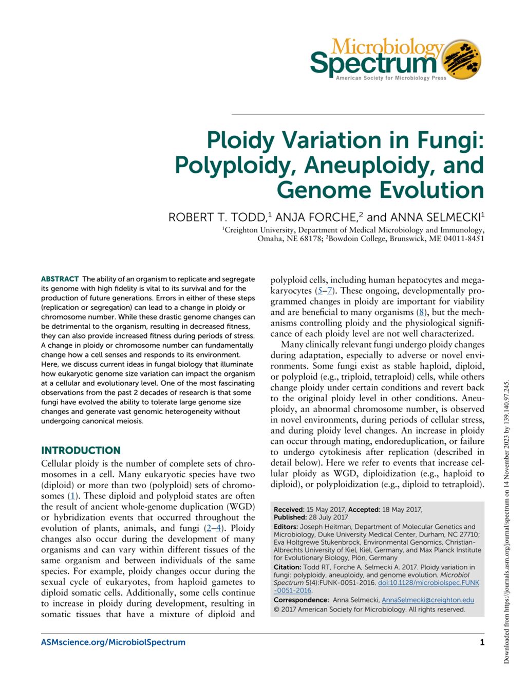 Miniature of Ploidy variation in fungi: Polyploidy, aneuploidy, and genome evolution