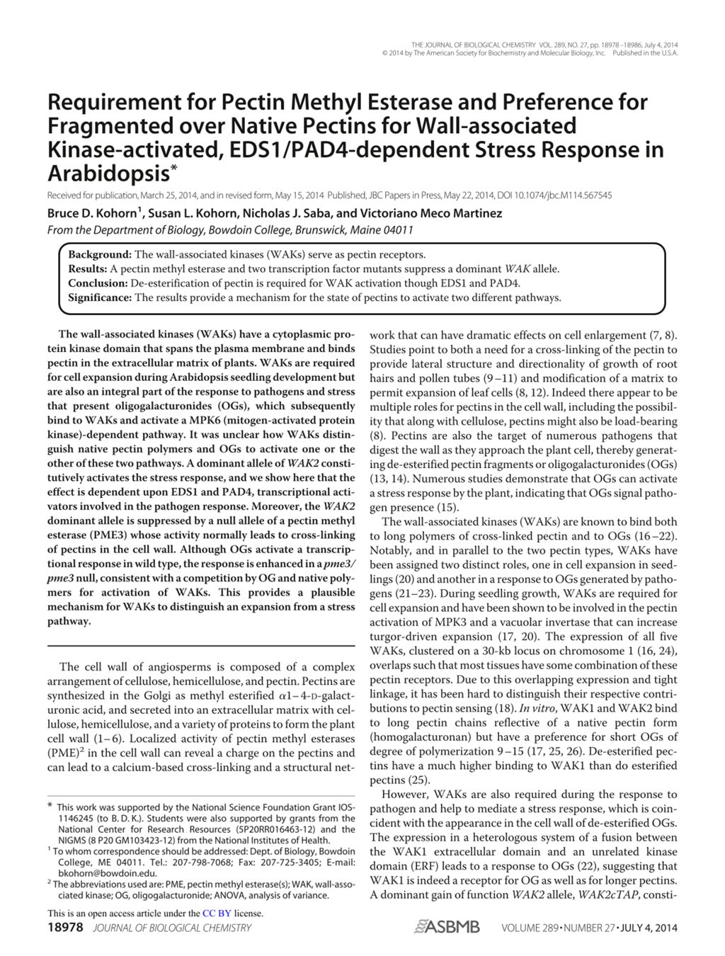 Miniature of Requirement for pectin methyl esterase and preference for fragmented over native pectins for wall-associated kinase-activated, EDS1/PAD4-dependent stress response in arabidopsis