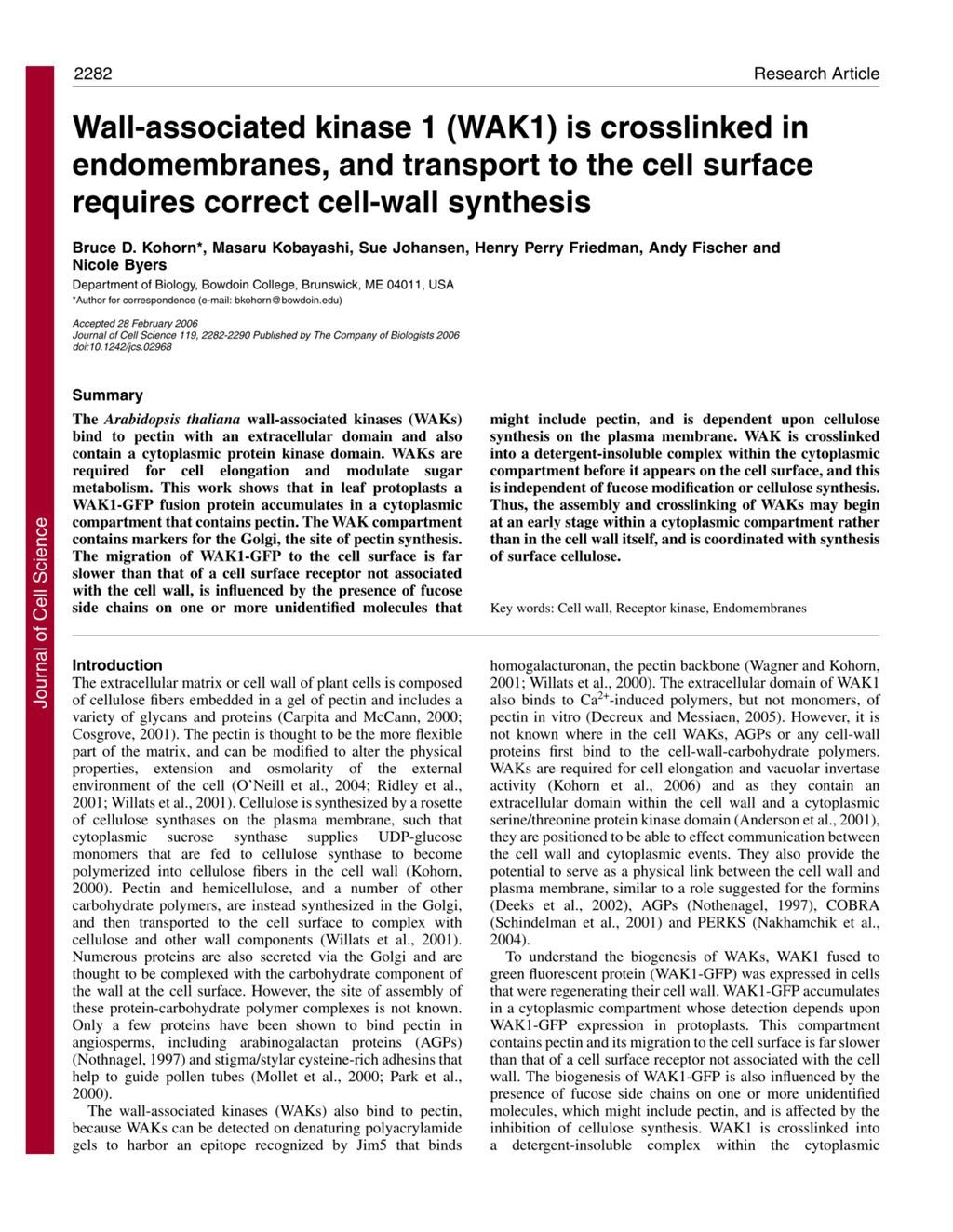 Miniature of Wall-associated kinase 1 (WAK1) is crosslinked in endomembranes, and transport to the cell surface requires correct cell-wall synthesis