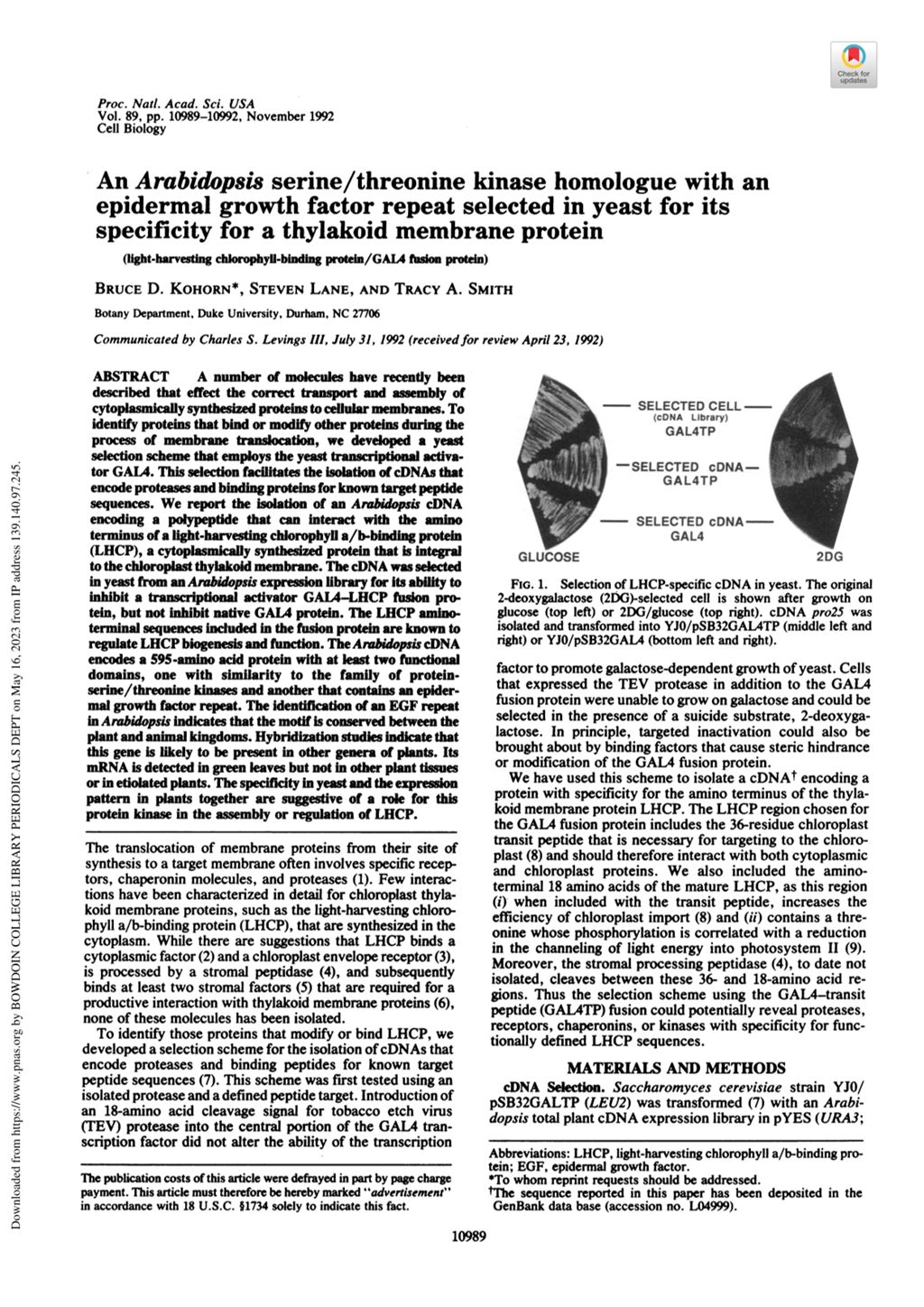 Miniature of An Arabidopsis serine/threonine kinase homologue with an epidermal growth factor repeat selected in yeast for its specificity for a thylakoid membrane protein