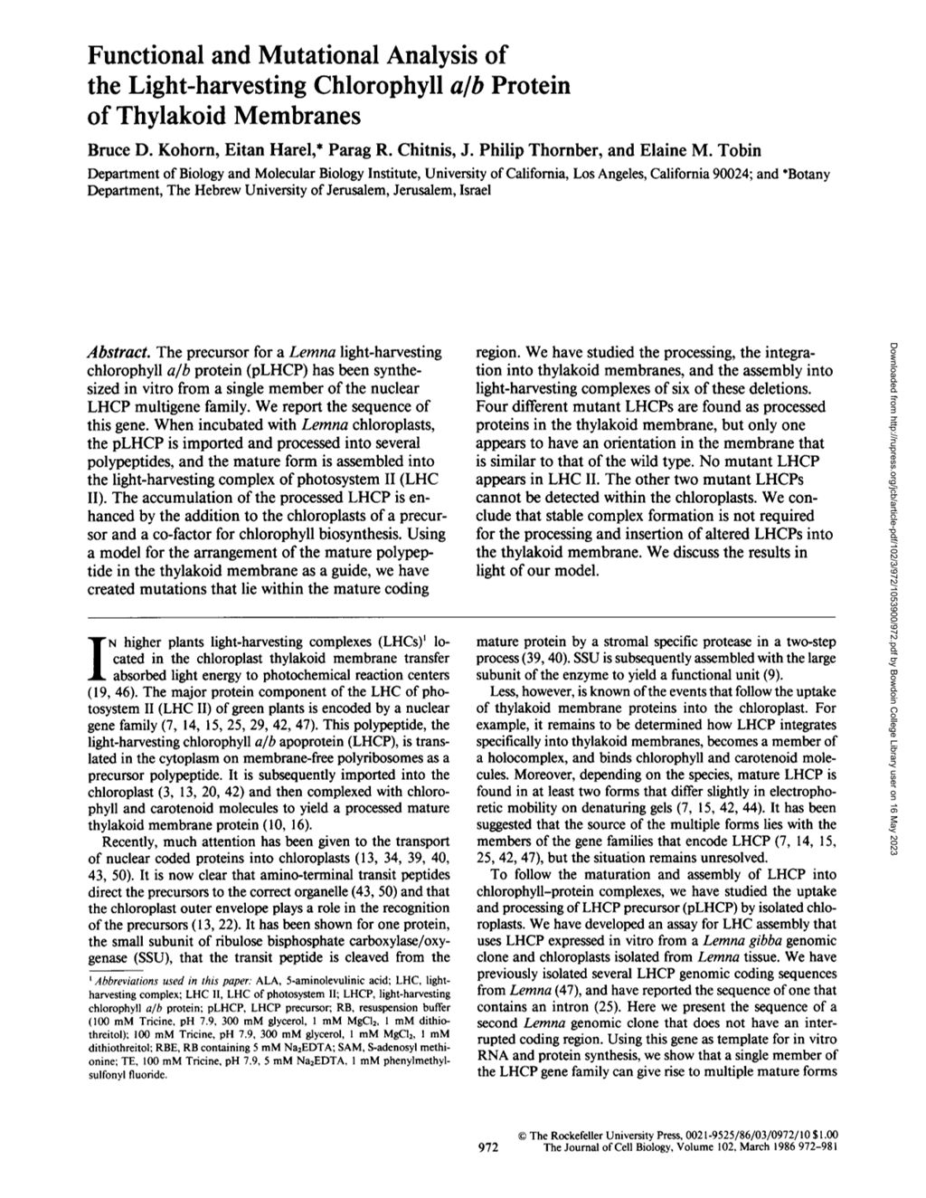 Miniature of Functional and mutational analysis of the light-harvesting chlorophyll a/b protein of thylakoid membranes.