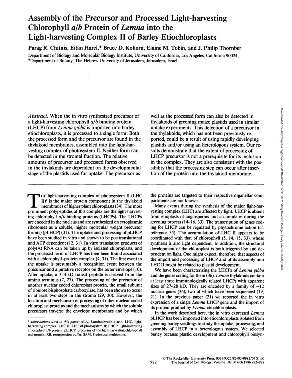 Miniature of Assembly of the precursor and processed light-harvesting chlorophyll a/b protein of Lemna into the light-harvesting complex II of barley etiochloroplasts.