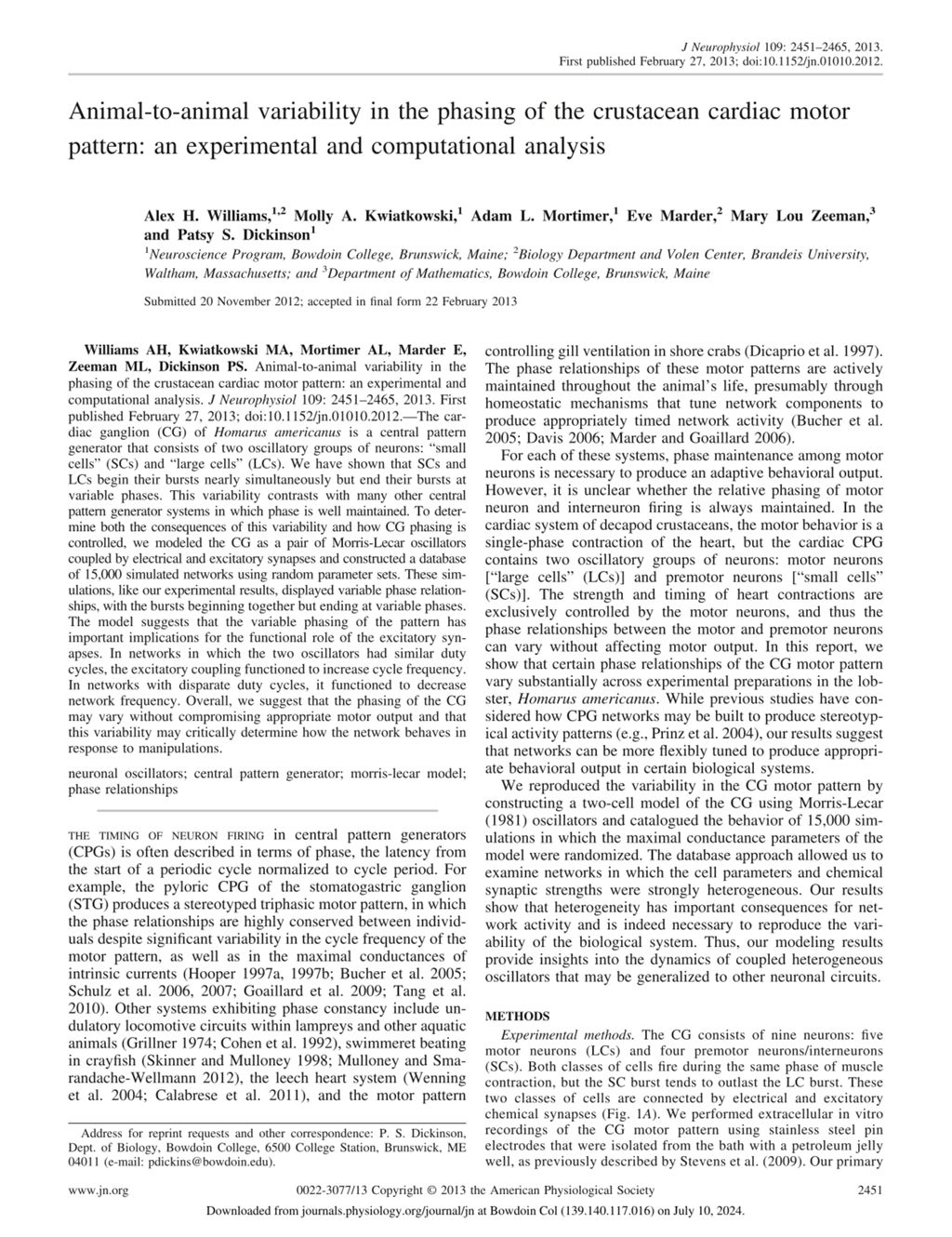 Miniature of Animal-to-animal variability in the phasing of the crustacean cardiac motor pattern: An experimental and computational analysis