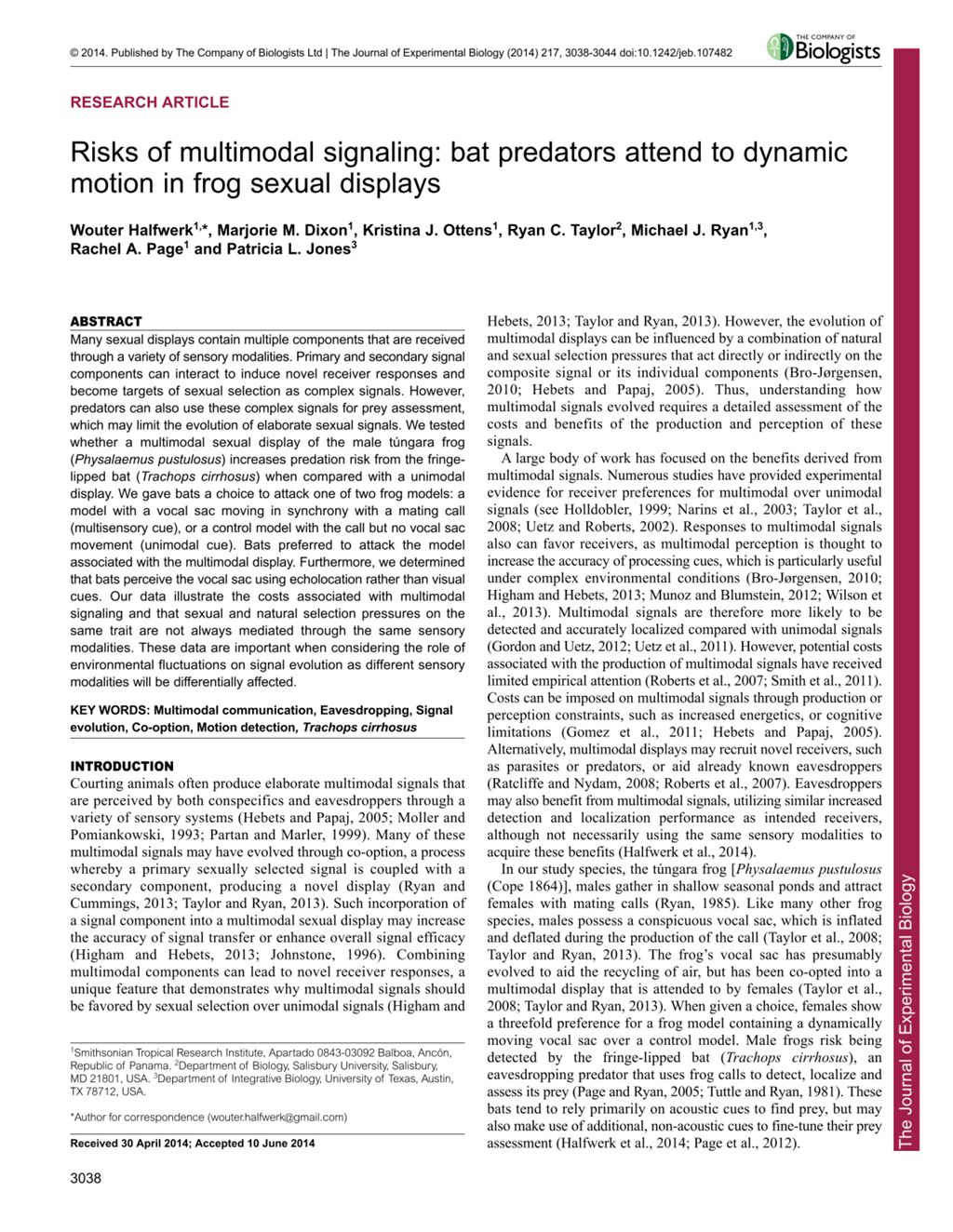 Miniature of Risks of multimodal signaling: Bat predators attend to dynamic motion in frog sexual displays