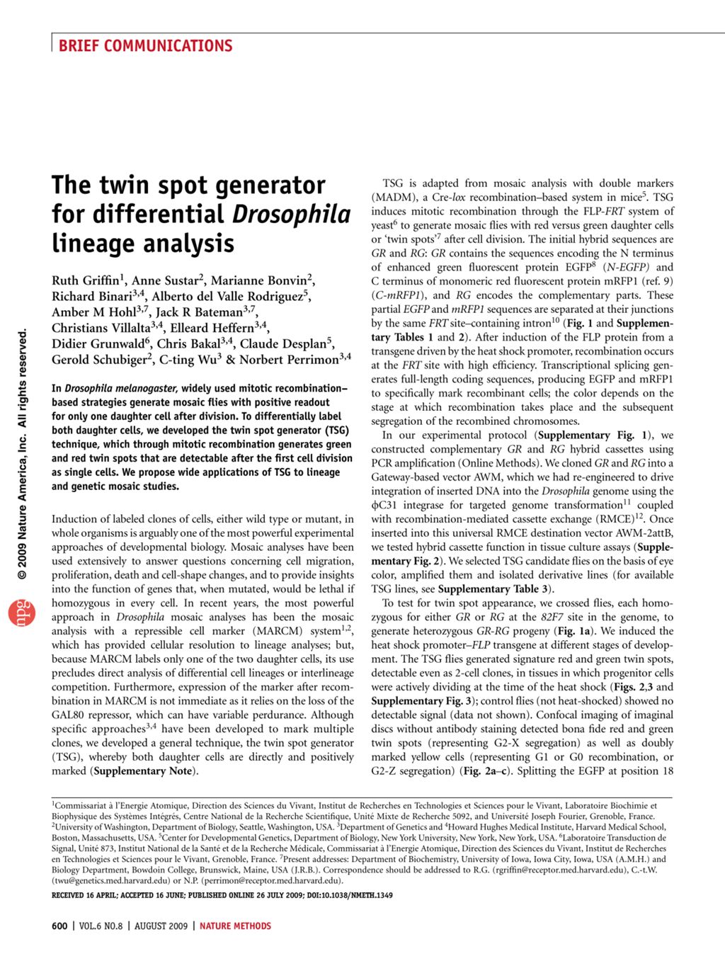 Miniature of The twin spot generator for differential Drosophila lineage analysis