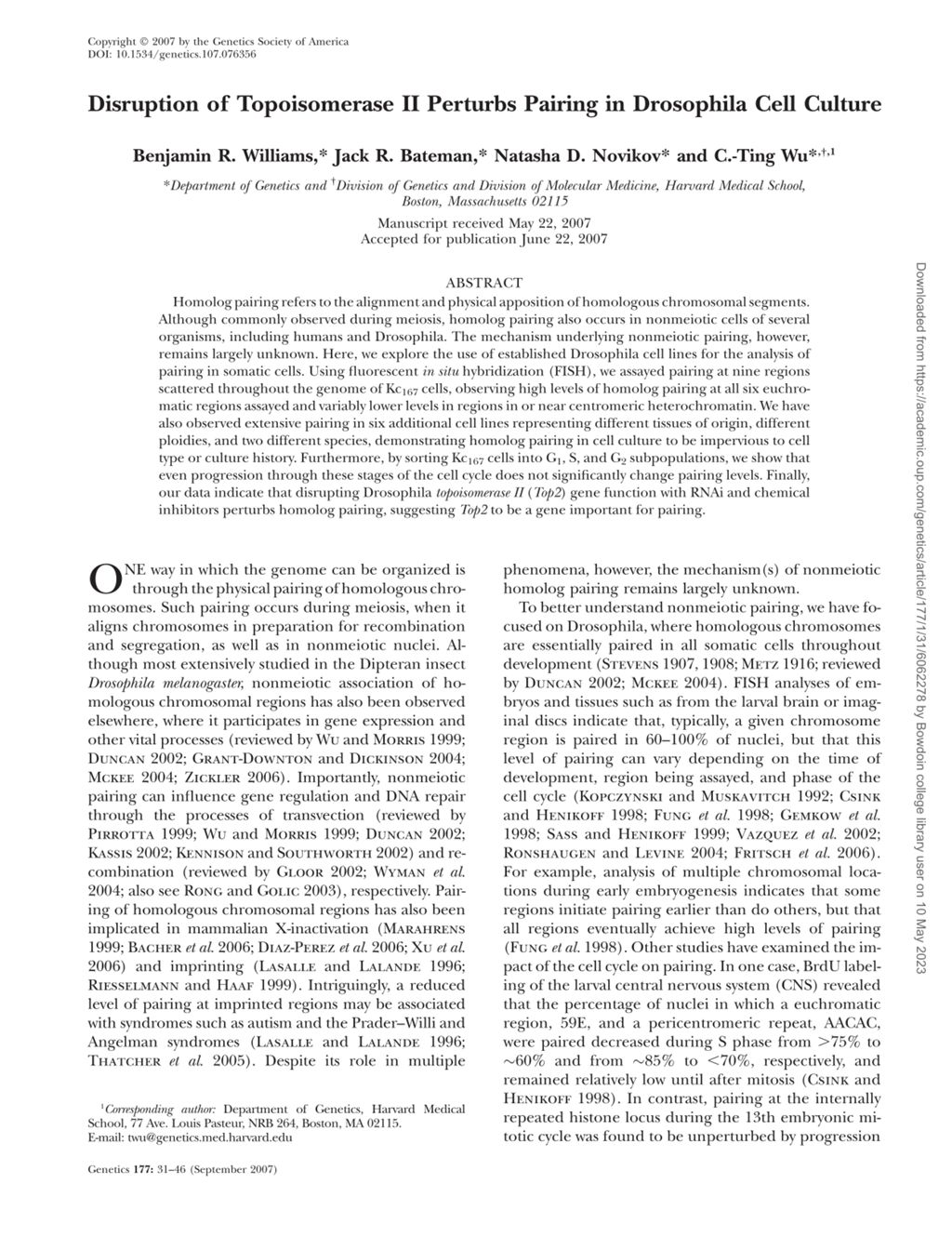 Miniature of Disruption of topoisomerase II perturbs pairing in Drosophila cell culture