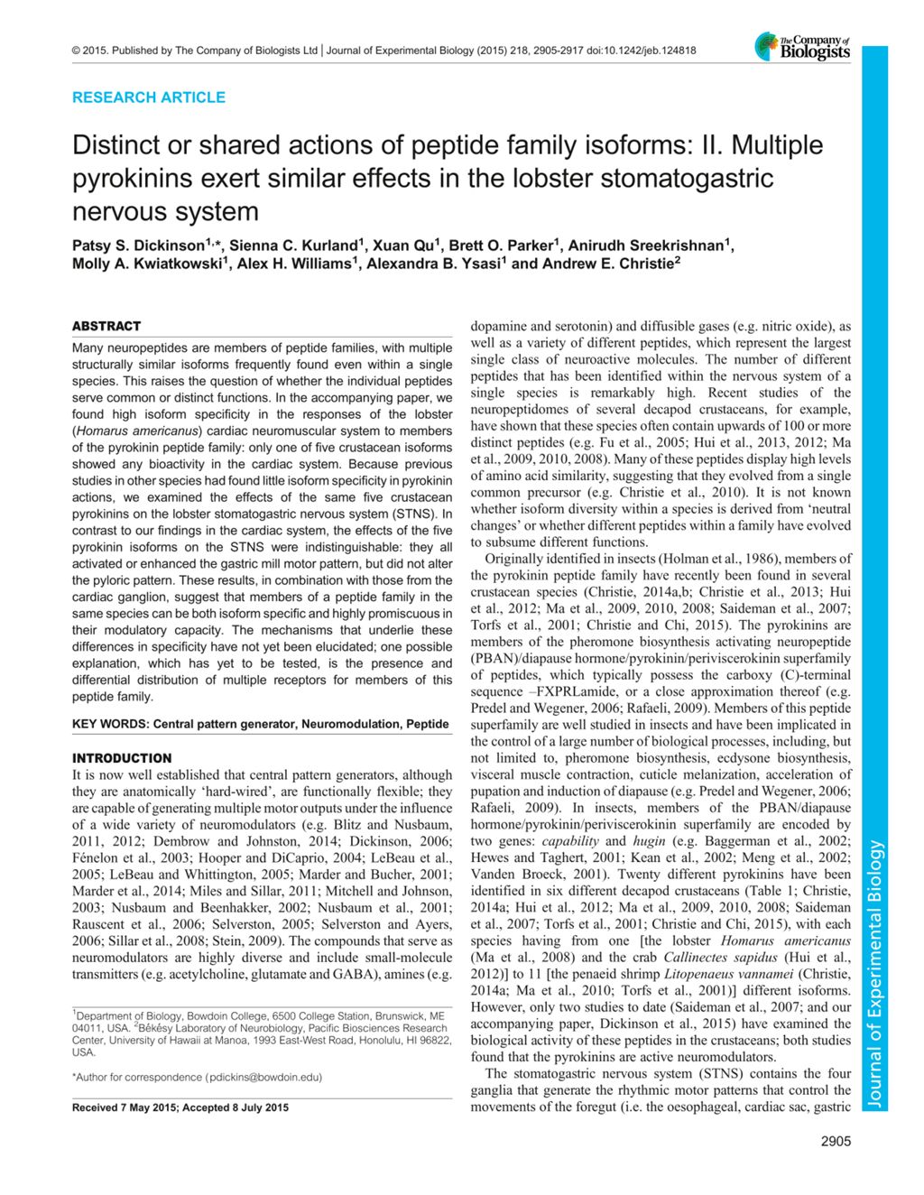 Miniature of Distinct or shared actions of peptide family isoforms: II. Multiple pyrokinins exert similar effects in the lobster stomatogastric nervous system