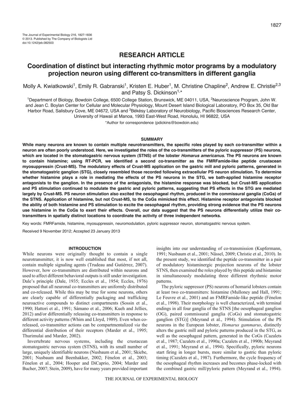 Miniature of Coordination of distinct but interacting rhythmic motor programs by a modulatory projection neuron using different co-transmitters in different ganglia