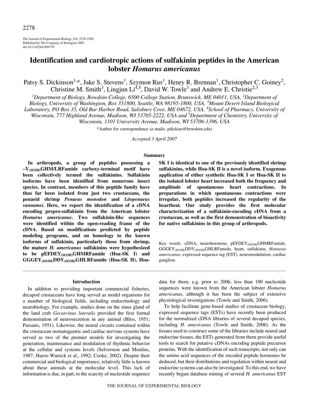 Miniature of Identification and cardiotropic actions of sulfakinin peptides in the American lobster Homarus americanus