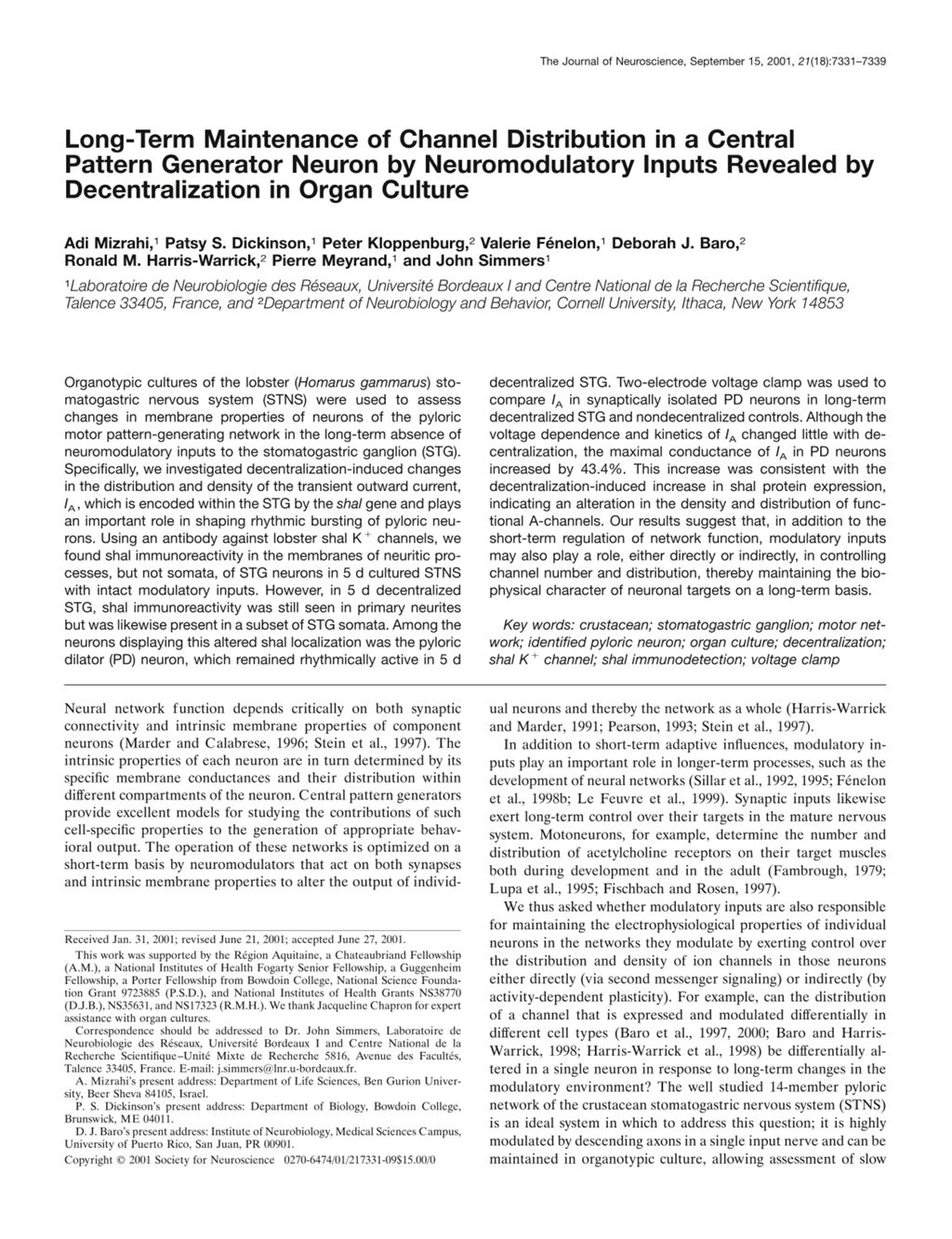 Miniature of Long-term maintenance of channel distribution in a central pattern generator neuron by neuromodulatory inputs revealed by decentralization in organ culture