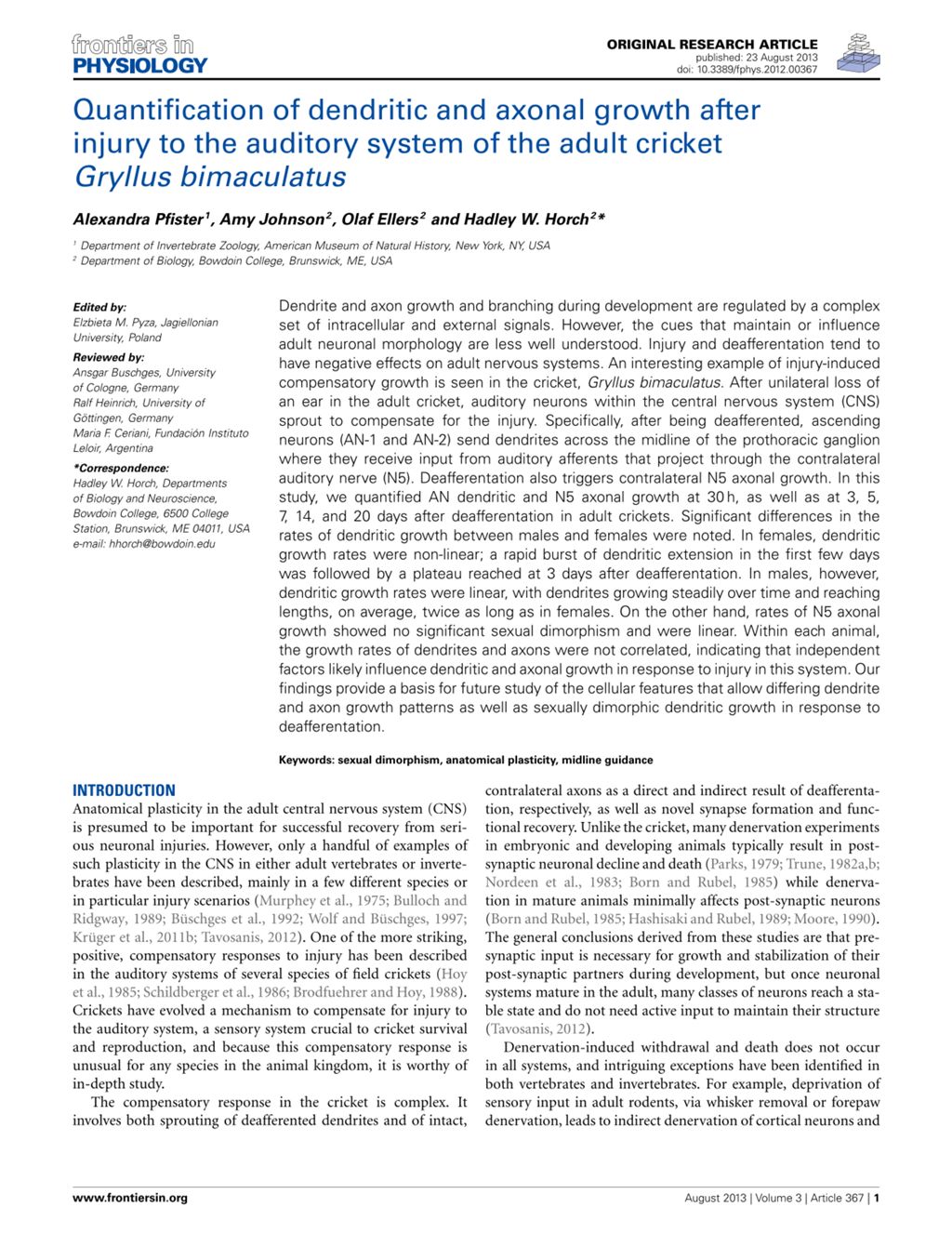 Miniature of Quantification of dendritic and axonal growth after injury to the auditory system of the adult cricket gryllus bimaculatus