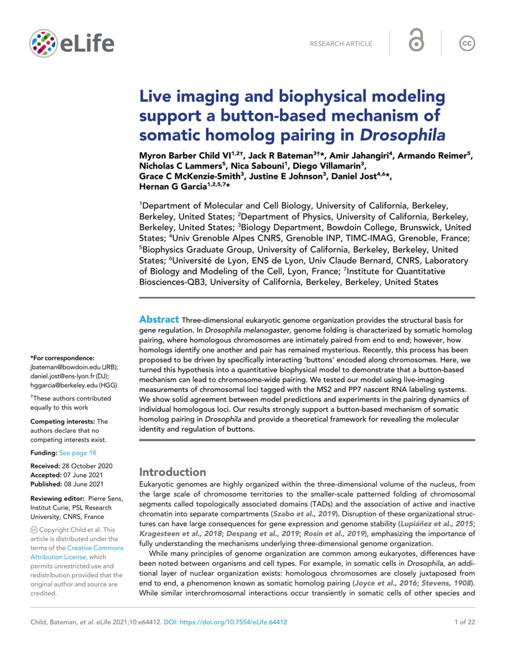 Miniature of Live imaging and biophysical modeling support a button-based mechanism of somatic homolog pairing in Drosophila